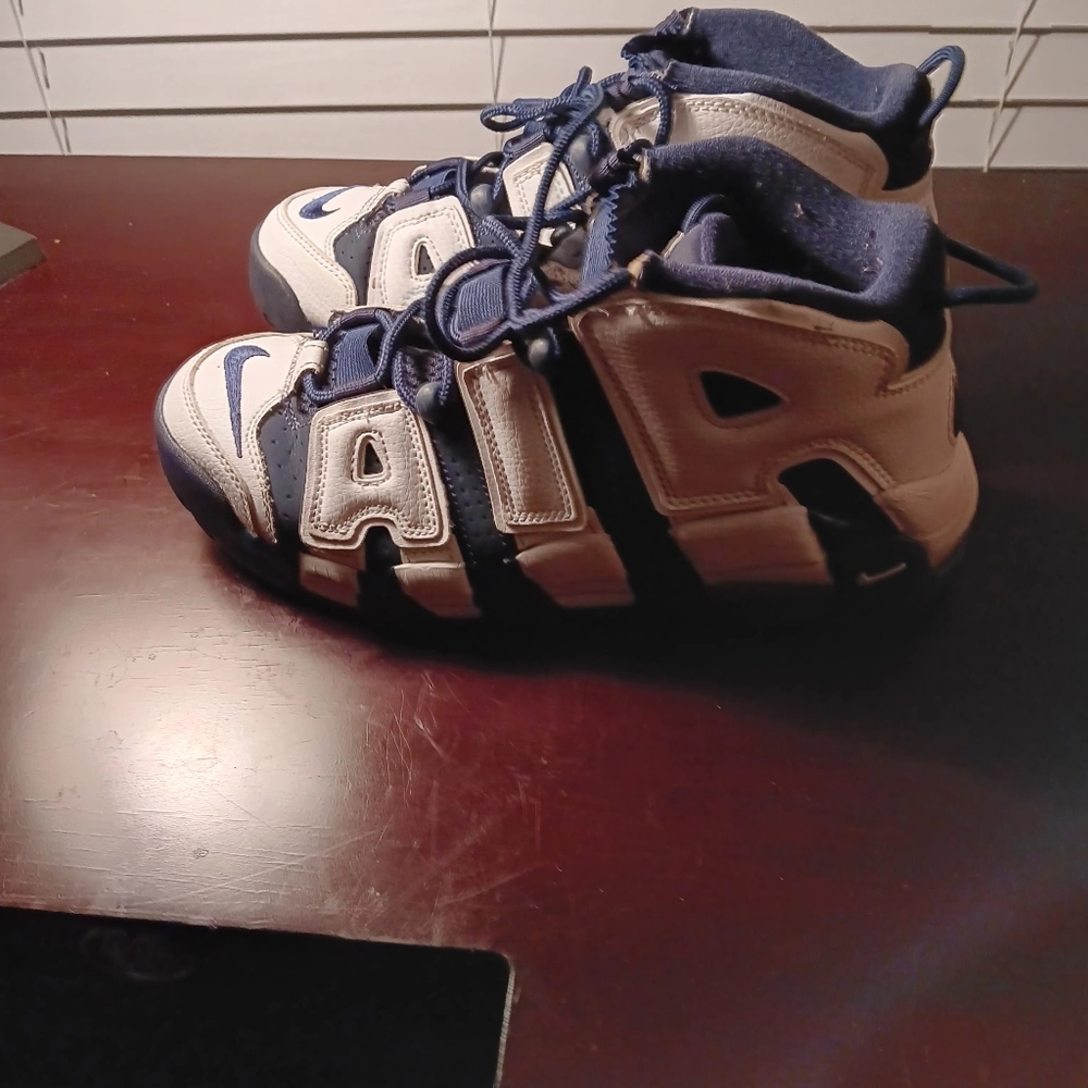 Scotty pippen sneakers